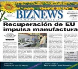 Biznews Newspaper