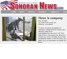 Sonoran News Newspaper